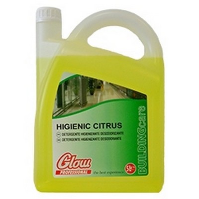 Detergente Higienizante Desodorizante Citrus 5Lt